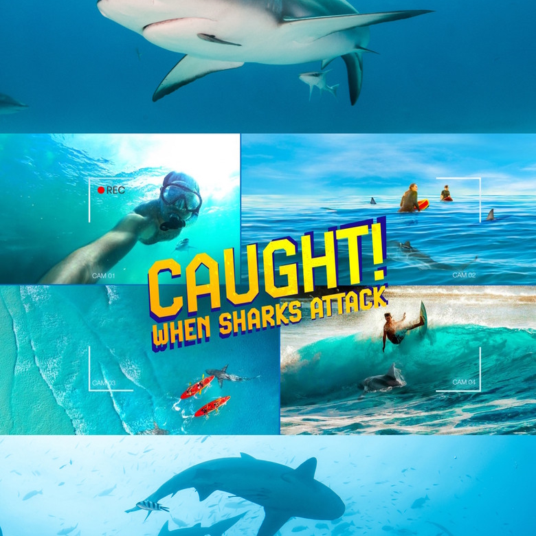 Shark Week